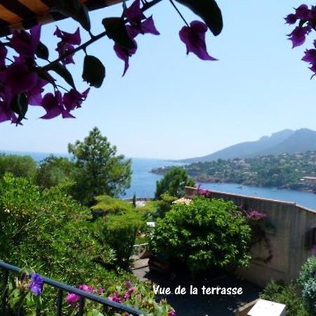 Studio A Theoule Sur Mer A 400 M De La Plage Avec Vue Sur La Mer Terrasse Amenagee Et Wifi Apartment Bagian luar foto
