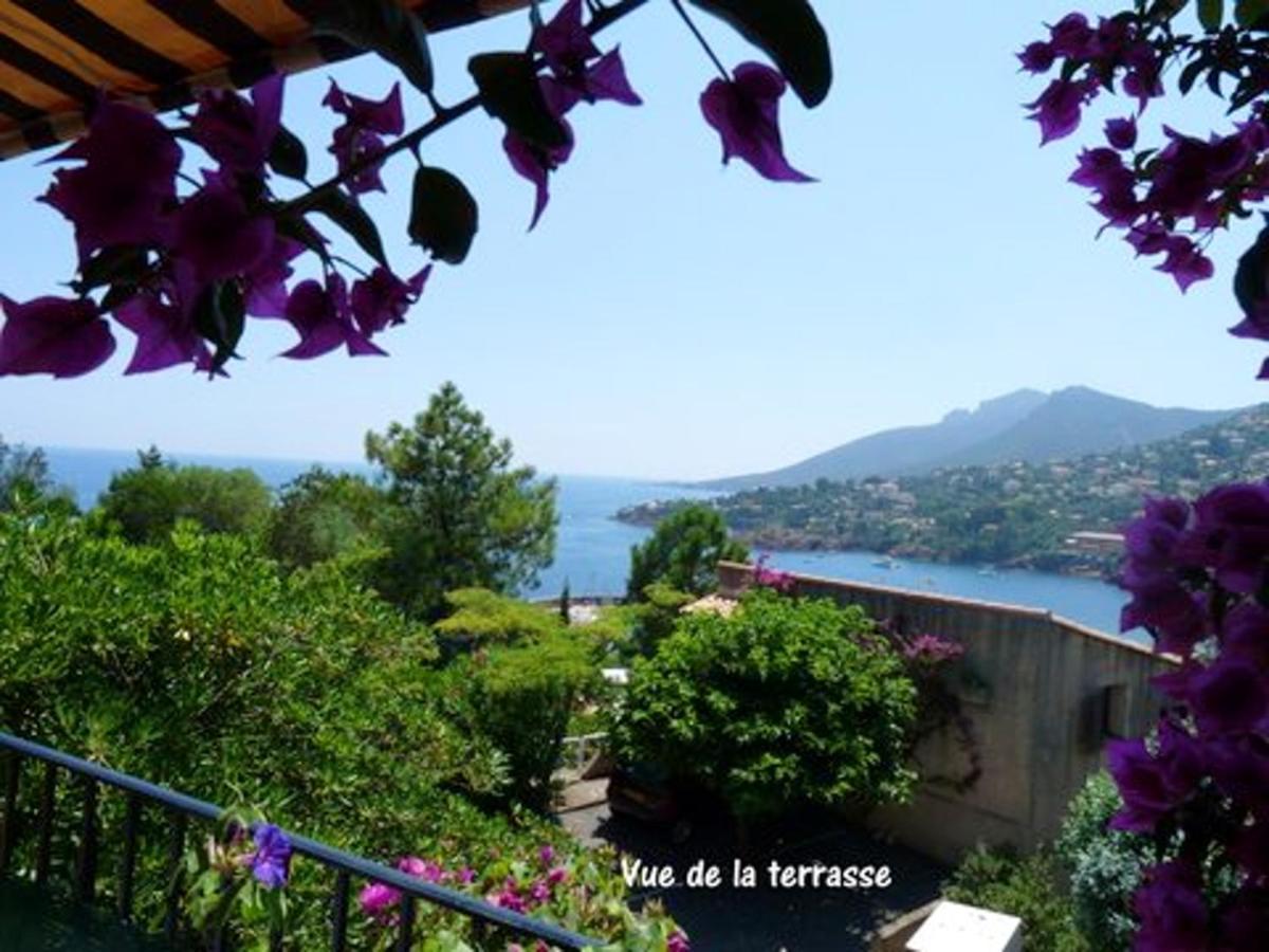 Studio A Theoule Sur Mer A 400 M De La Plage Avec Vue Sur La Mer Terrasse Amenagee Et Wifi Apartment Bagian luar foto